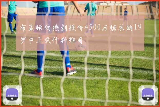 布莱顿向热刺报价4500万镑求购19岁中卫武什科维奇