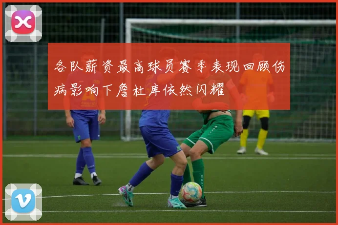 各队薪资最高球员赛季表现回顾伤病影响下詹杜库依然闪耀